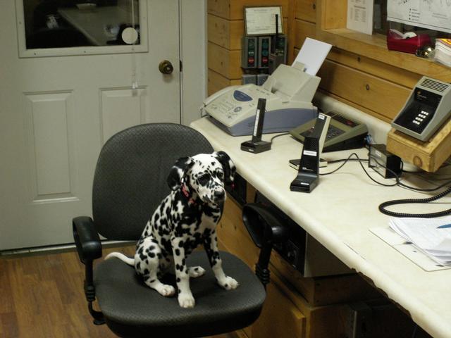 New Dispatcher